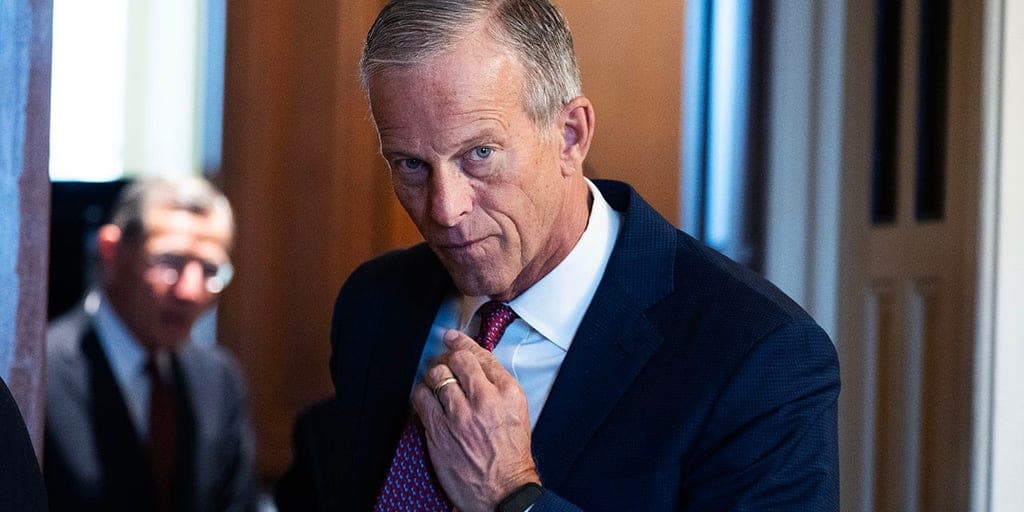 Thune Slams Dems for Endangering America's Cyber Defense