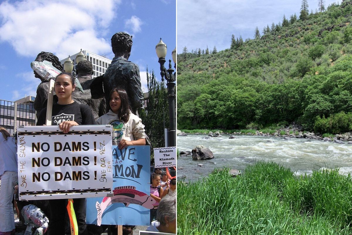 Salmon Explosion After Dam Demolition Proves Nature Knows Best